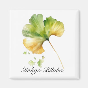 Herbal Life: Ginkgo Biloba leaf watercolor Magnet