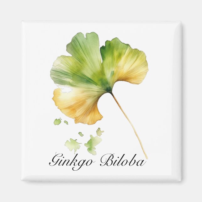 Herbal Life: Ginkgo Biloba leaf watercolor Magnet (Front)