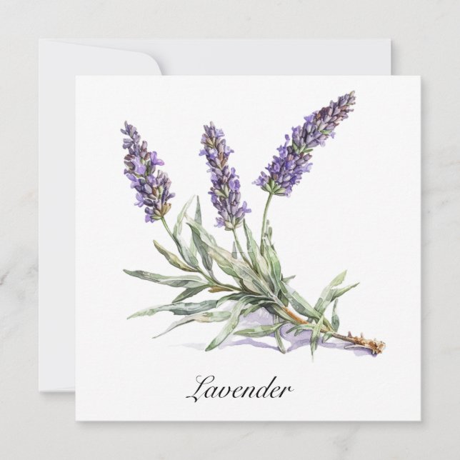 Herbal Life: Lavender, customisable  (Front)