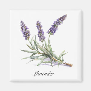 Herbal Life: Lavender, customisable Magnet