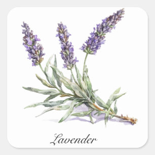 Herbal Life: Lavender, customisable  Square Sticker