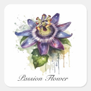 Herbal Life: passion flower in purple customisable Square Sticker