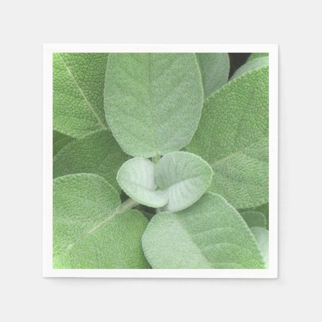 Herbal Napkin (Front)
