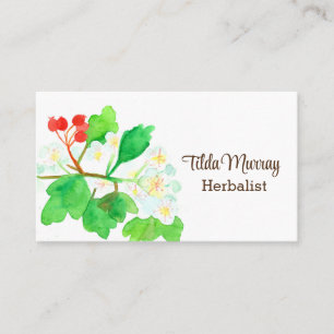 Herbalist Hawthorn Plant Berries Flowers Herbs  Business Card