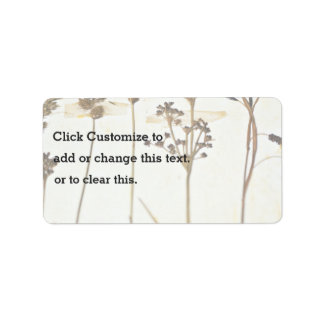 Herbarium On White Label