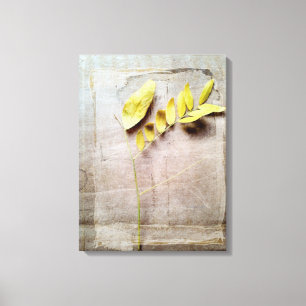 Herbarium V Canvas Print