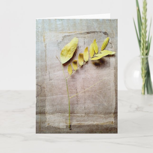 Herbarium V Card (Front)