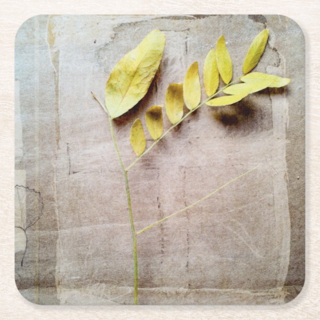 Herbarium V Square Paper Coaster (Front)