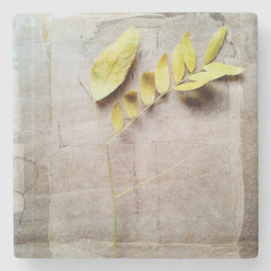 Herbarium V Stone Coaster
