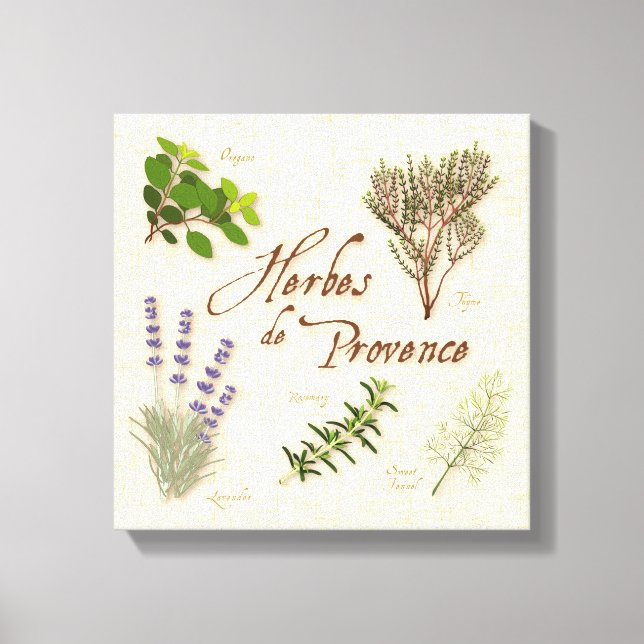 Herbes de Provence Canvas Art (Front)