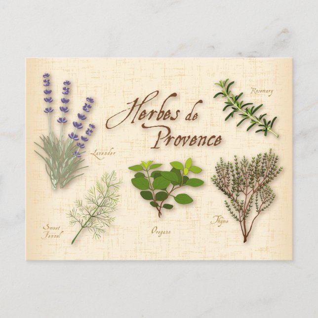 Herbes de Provence Postcard (Front)