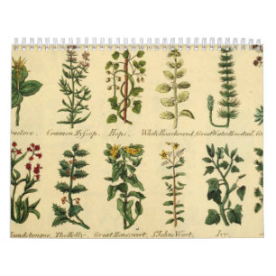 HERBS AND BOTANICALS, Mediaeval Vintage Calendar