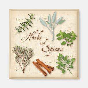 Herbs and Spices Magnet