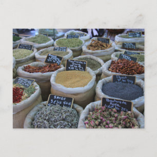 Herbs and Spices Postcard