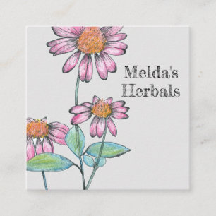 Herbs Coneflower Echinacea Medicinal Herb Square Business Card