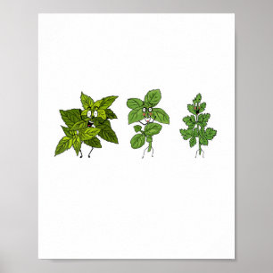 Herbs, herb themed poster