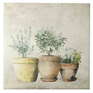 Herbs in Pots Mediterrean Rustic Tile