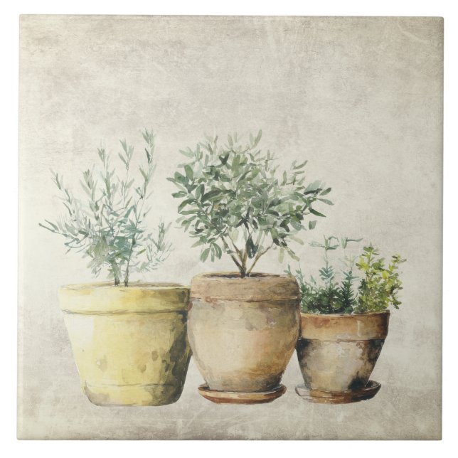Herbs in Pots Mediterrean Rustic  Tile (Front)