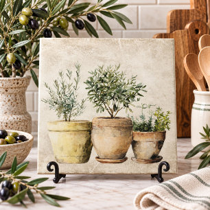 Herbs in Pots Mediterrean Rustic Tile