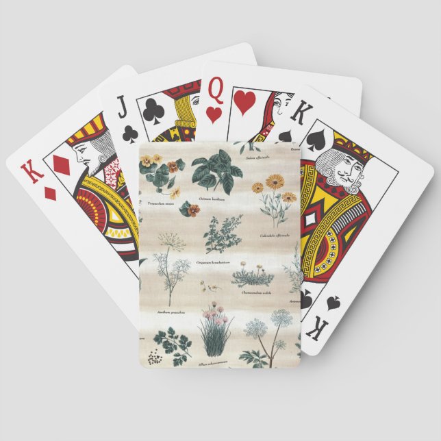 Herbs Plants Flowers Playing Cards (Back)