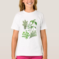 Herbs Rosemary Sage Thyme Mint Parsley Kitchen