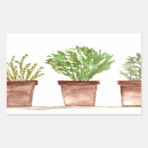 Herbs sage, rosemary, thyme rectangular sticker