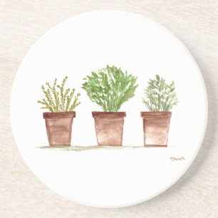 Herbs sage rosemary thyme watercolor rustic coaster