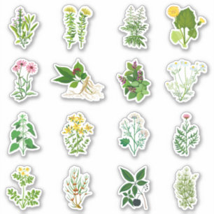 Herbs set sticker