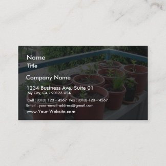 Herbs Spices Peppers Home Garden Business Card