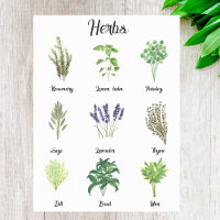 Herbs Watercolor Sage Thyme Rosemary Kitchen