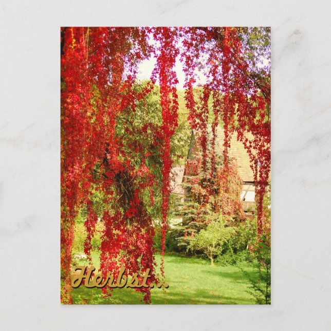 Herbst / Autumn Postcard (Front)