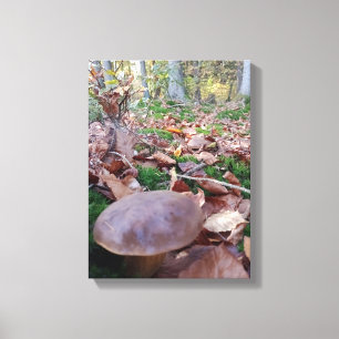 Herbst Canvas Print