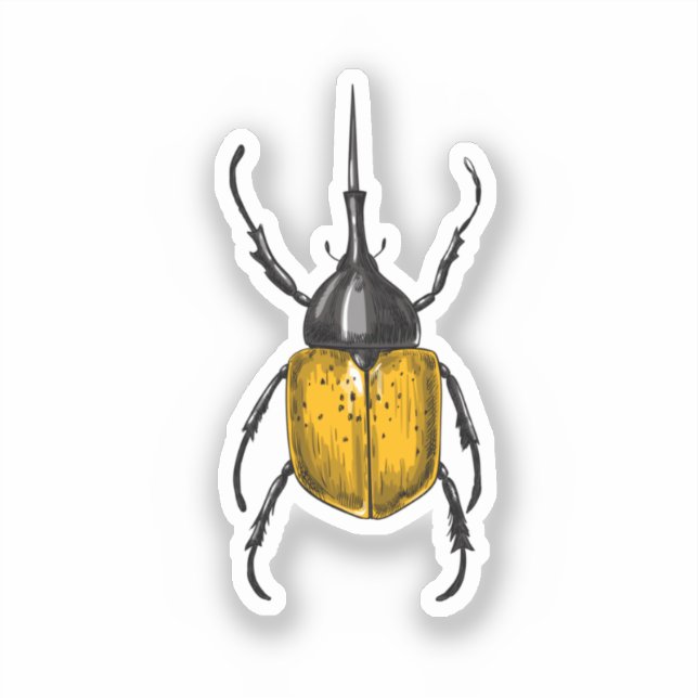Hercules beetle (Front)