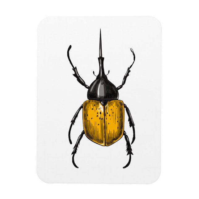 Hercules beetle magnet (Vertical)