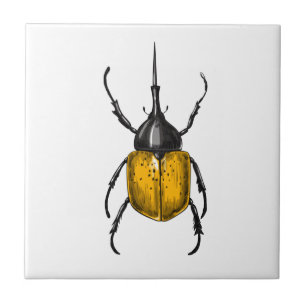 Hercules beetle tile