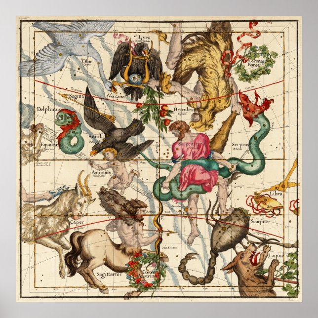 Hercules, Sagittarius, Delphinus and  Scorpius Poster (Front)