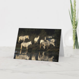 Herd Camargue Ponies Standing In Water Card