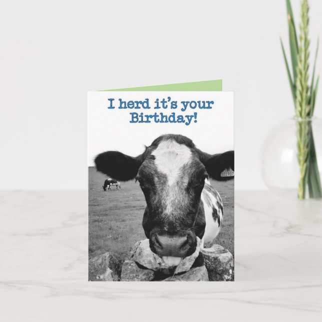 Herd it was your birthday - Cheeky Cow  Card (Front)