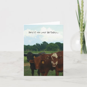 Herd it was Your Birthday Cow Card