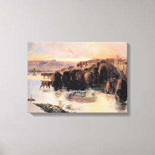 Herd of American Buffalo Canvas Print