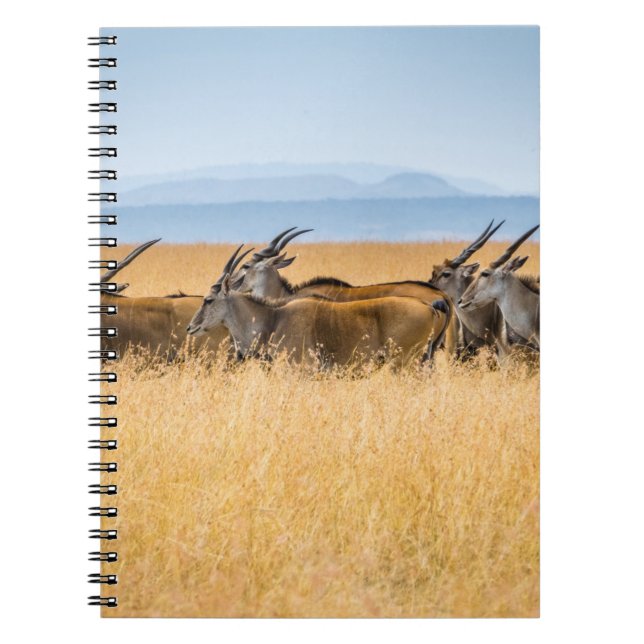 HERD OF ANTELOPES ON GRASS FIELD NOTEBOOK (Front)