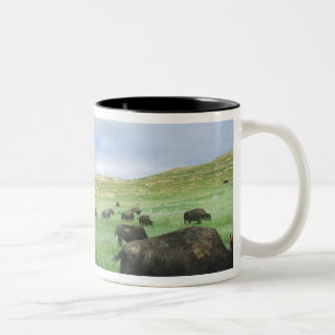 Herd of bison graze prairie grass at Theodore Two-Tone Coffee Mug