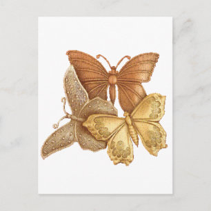 Herd of Butterflies Postcard