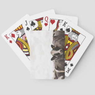Herd of cattle and overcast sky 2 playing cards