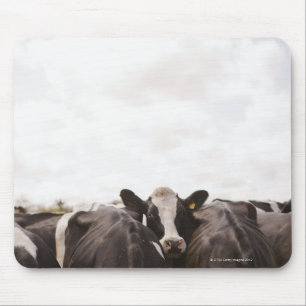 Herd of cattle and overcast sky mouse mat