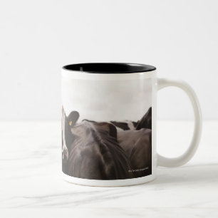 Herd of cattle and overcast sky Two-Tone coffee mug