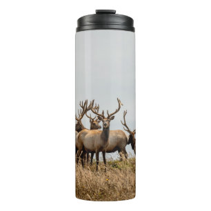 HERD OF DEER THERMAL TUMBLER