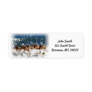 Herd of Elk return address