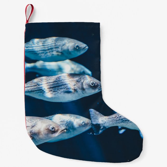 HERD OF FISH SMALL CHRISTMAS STOCKING (Front)