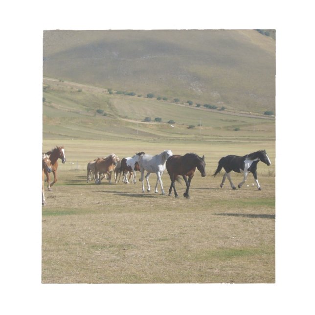 Herd of Horses Notepad (Front)